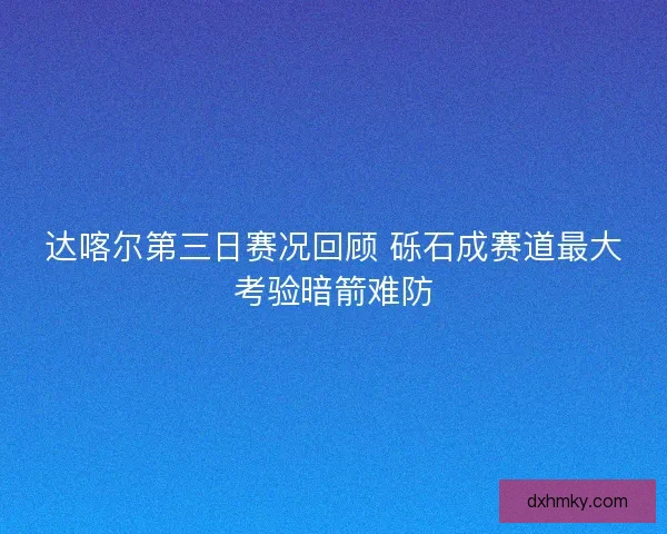 达喀尔第三日赛况回顾 砾石成赛道最大考验暗箭难防